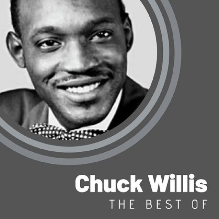 Chuck Willis Professional Achievements
