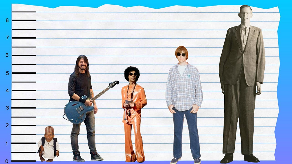 Dave Grohl Height