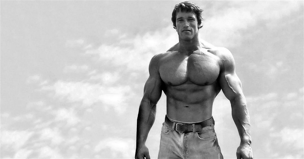 Arnold Schwarzenegger career