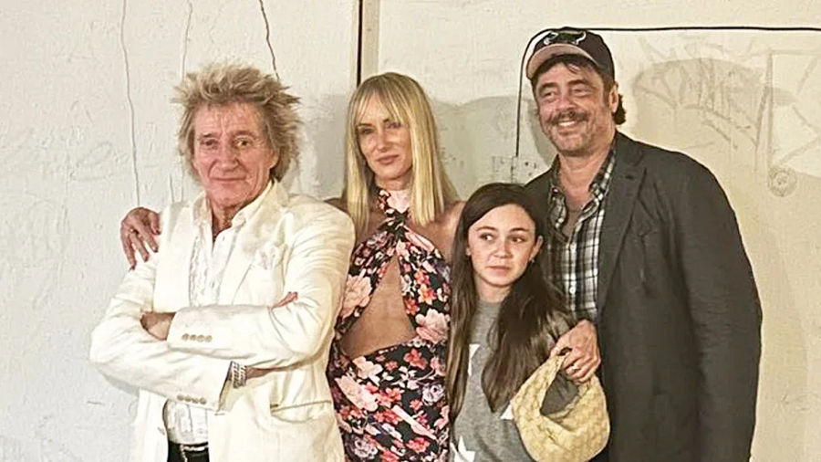 Benicio Del Toro Family