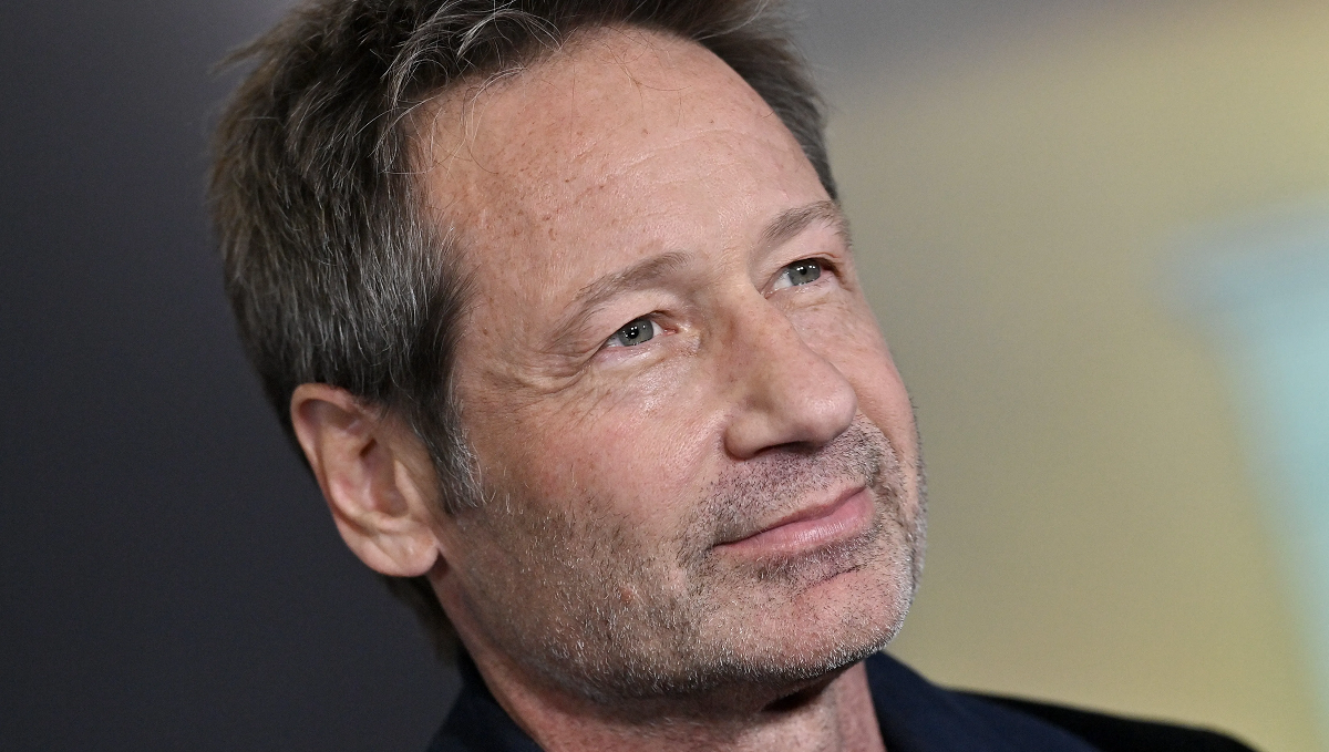 David Duchovny Biography Career Personal Life Physical