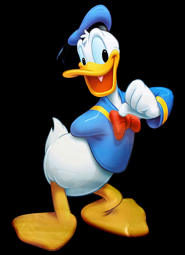 Donald Duck Height
