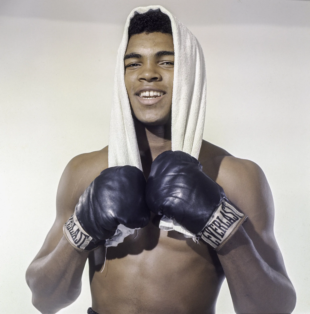 Muhammad Ali Profession