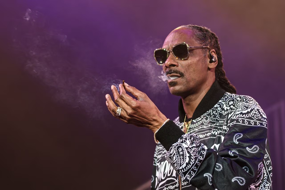Snoop Dogg Profession