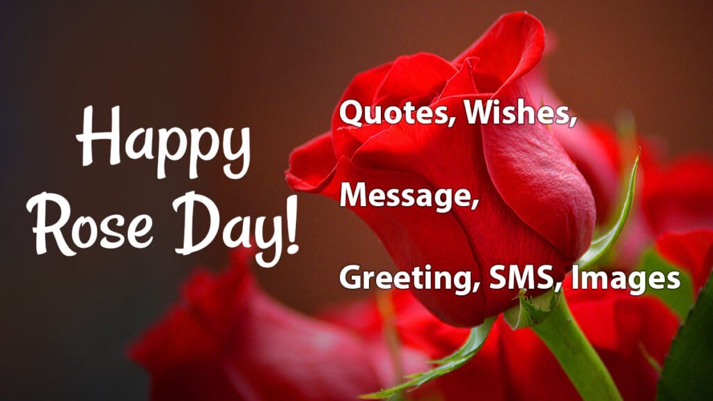 Happy Rose Day Quotes Wish Message SMS