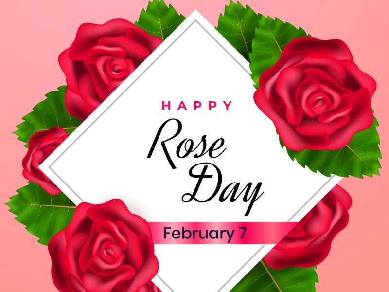 Happy Rose Day Status for Girlfriend