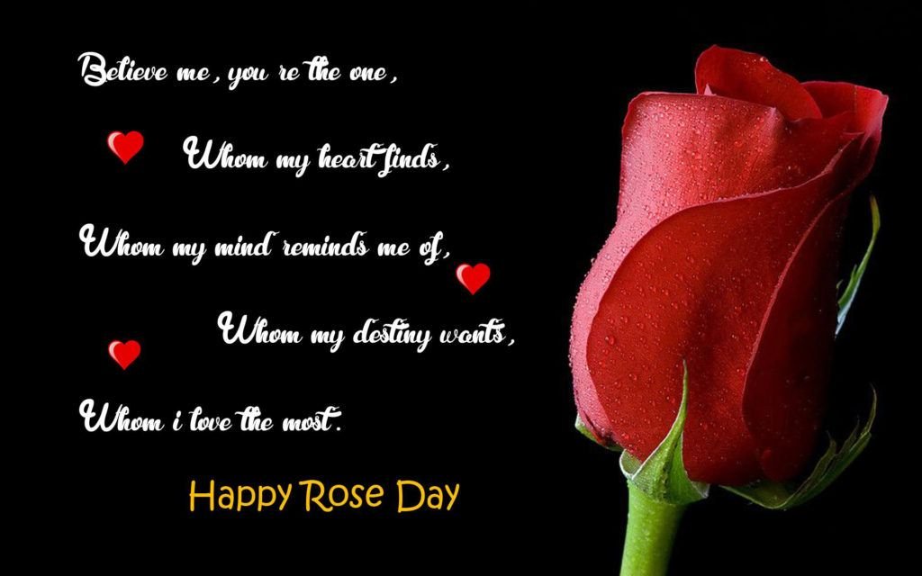 romantic quotes for rose day