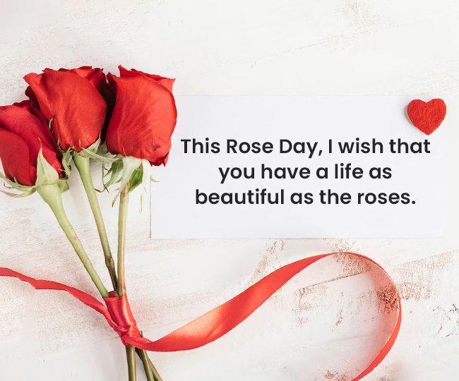 rose day wish for boyfriend