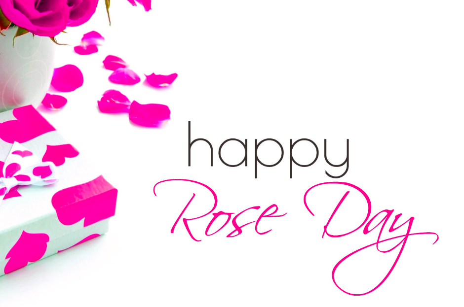 rose day wish images