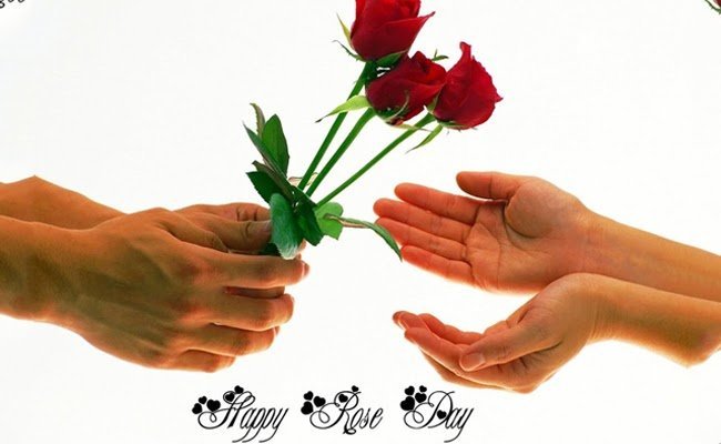 what is rose day